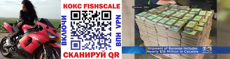 Cocaine Fish Scale  Саки 