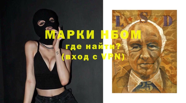 прущие грибы Армянск