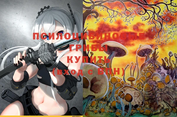 таблы Аркадак