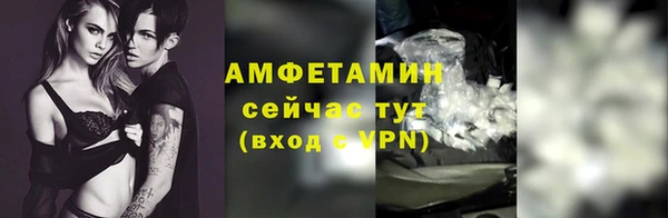 прущие грибы Армянск