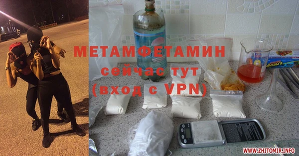 прущие грибы Армянск